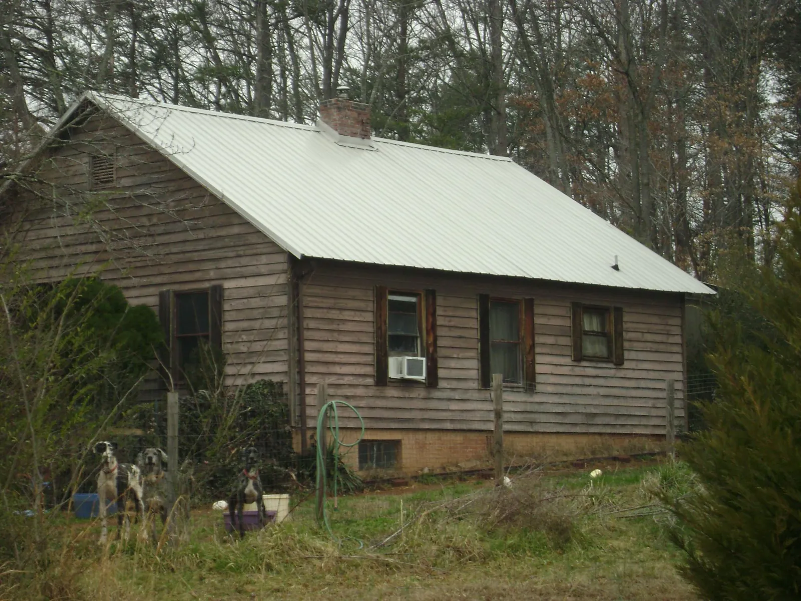 White metal roof on an old wood sided farmhouse, from a Metal Roof Installation job in Seeley Lake